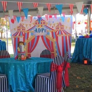 adpi 